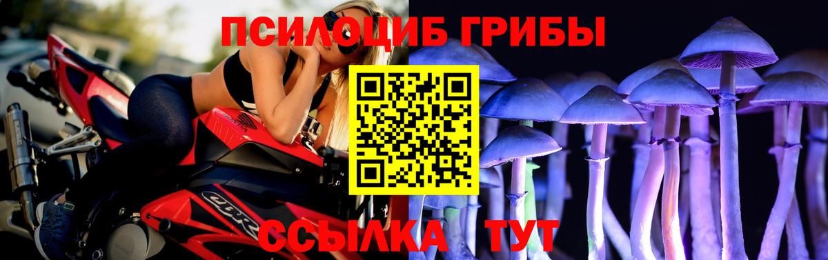 Жуковский  Галлюциногенные грибы прущие грибы  купить  сайты  Вход с VPN 