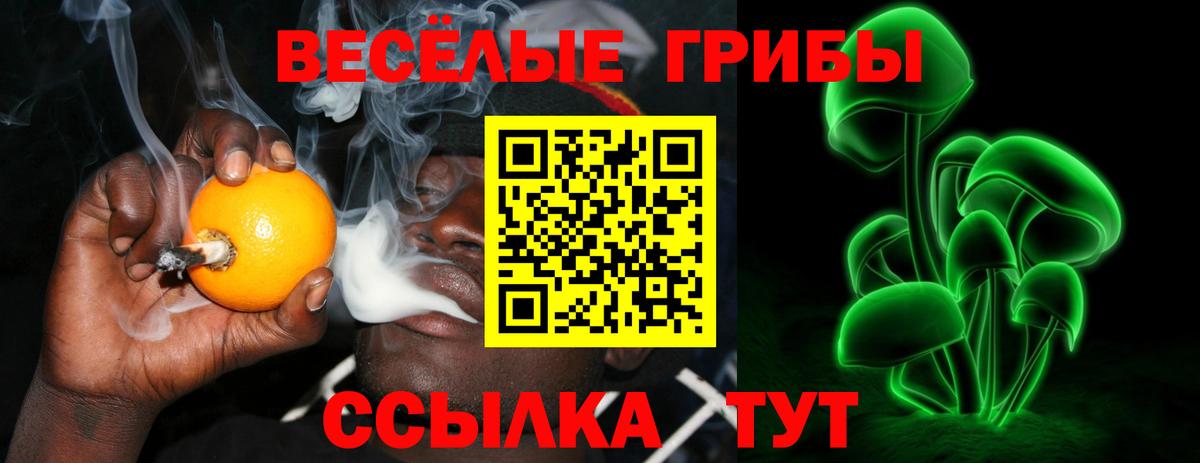 Галлюциногенные грибы Psilocybe Жуковский